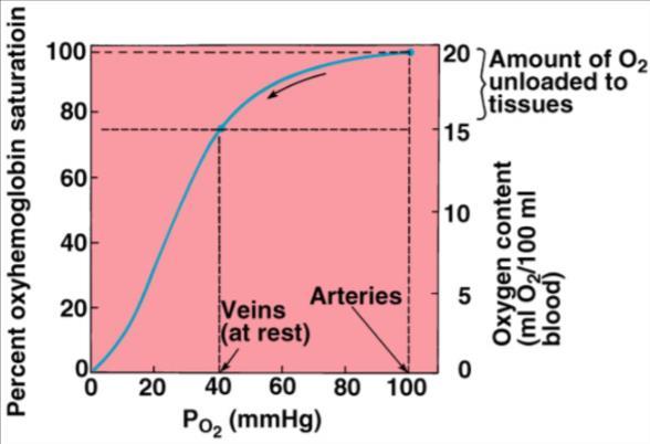 Een goede PO2 hebt betekent dat je een goede longfunctie hebt, maar het zegt niets over hoe goed je zuurstof kan rondpompen (cfr. anemie, rode bloedcellen). 7.1.