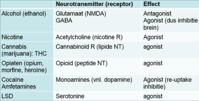 post-synaptische receptoren: competitieve binding: Agonist: mimeticum. LSD zal het effect van serotonine overnemen Antagonist: receptor blocker.