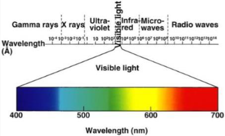4.3 ZICHT We hebben maar een zeer beperkt zicht, we zien slechts een klein deeltje van het elektromagnetisch spectrum.
