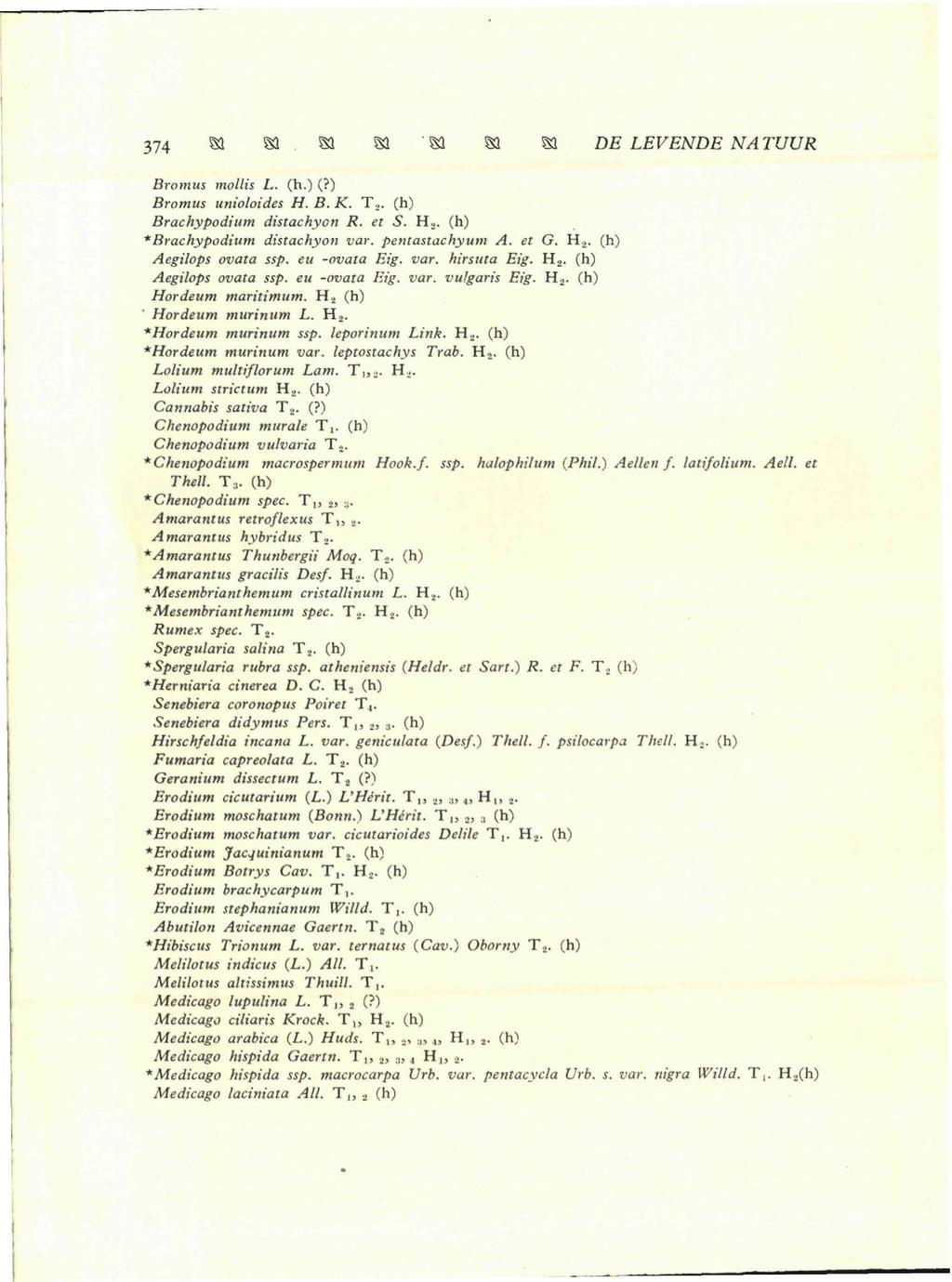 SI S3 SI S3 S3 S3 S3 DJ? LEVENDE NA TUUR Bromus mollis L. (h.) (?) Bromus unioloides H. B. K. T 2. (h) Brachypodium distachyon R. et S. Hj. (h) *Brachypodium distachyon var. pentastachyum A. et G.