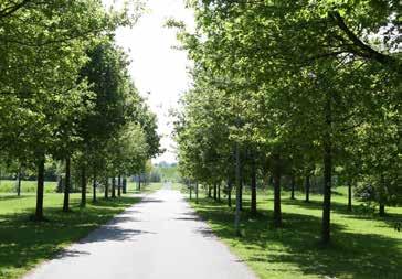 Je kunt er nog echt genieten van de waterkeringen, de rietkragen, de gemalen en het vele groen die een polderlandschap kenmerken. Het geeft Haarlemmermeer die unieke en rustieke uitstraling.