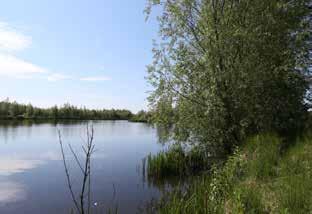 Elzenhove ligt centraal ten opzichte van de infrastructuur van de Haarlemmermeer polder,