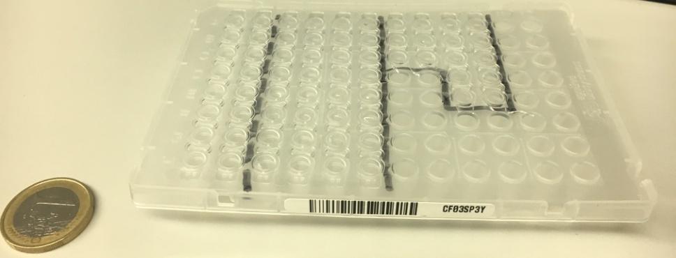 Na PCR volgorde bouwstenen bepalen: mutaties (bijv in FLT3)?