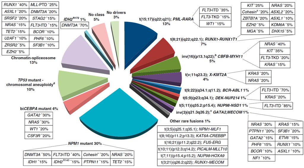 Moleculaire classificatie acute myeloide