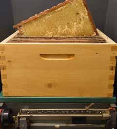De totale hoeveelheid honing, geproduceerd door een enkele kolonie in een seizoen, wordt genoteerd als de totale honingproductie voor de testkolonie.