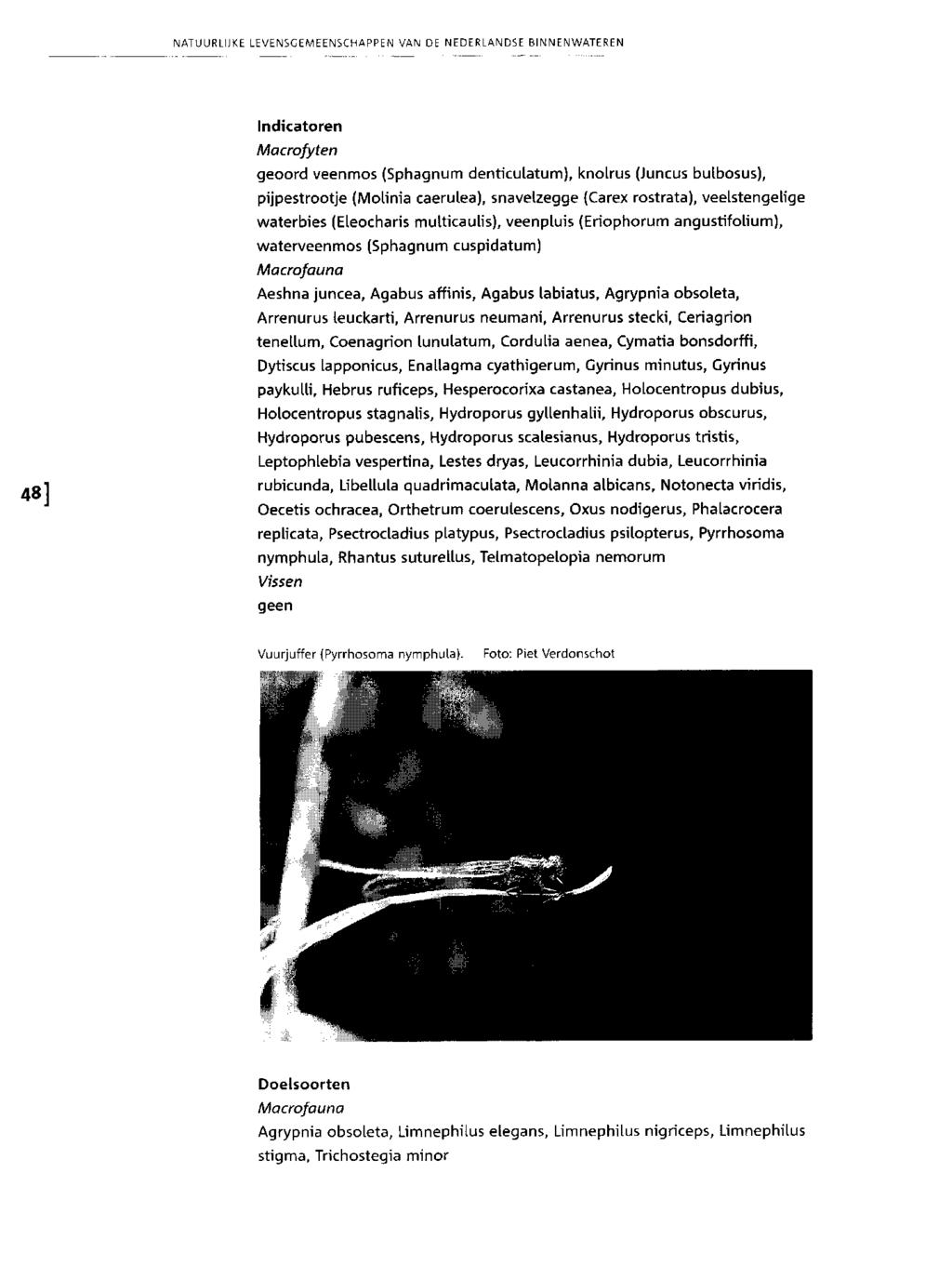 48] Indicatoren Macrofyten geoord veenmos (Sphagnum denticulatum), knolrus (Juncus bulbosus), pijpestrootje (Molinia caerulea), snavelzegge (Carex rostrata), veelstengelige waterbies (Eleocharis