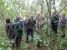 Bijeenkomst 1: Tolman / Luten 11 september 2013 Waar ging het over? Dunning berk Verschil in groei bijv. menging eik en berk Toekomstbomen kiezen: wat is kwaliteit?