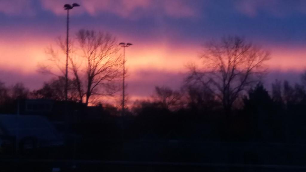 Zonsopgang (gr. 5/6) Heerlijk om te ervaren hoe de kinderen van groep 5 en 6 kunnen genieten van de natuurverschijnselen.