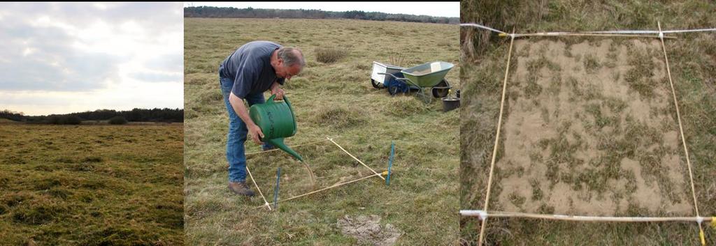 Junner Koeland Figuur 5- Links:Uitgangssituatie bij overzandingsexperiment in Junner Koeland, Midden: aanbrengen van lokaal rivierzand, rechts : proefvak na overzanden Figure 5- Left: Vegetation at s