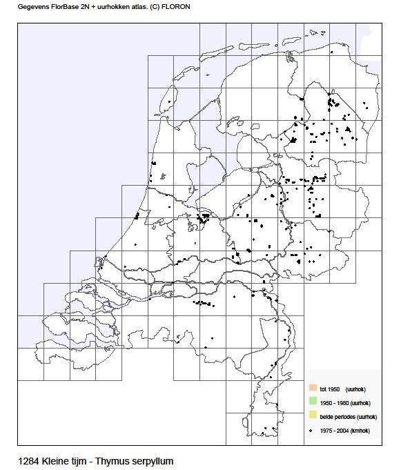 Kleine tijm (Thymus serpyllum) ** Trend: Sterk negatief Standplaats en habitus Kleine tijm groeit als halfschaduw verdragende lichtplant en houtig, altijdgroen, kruipend, zeer laag dwergstruikje op