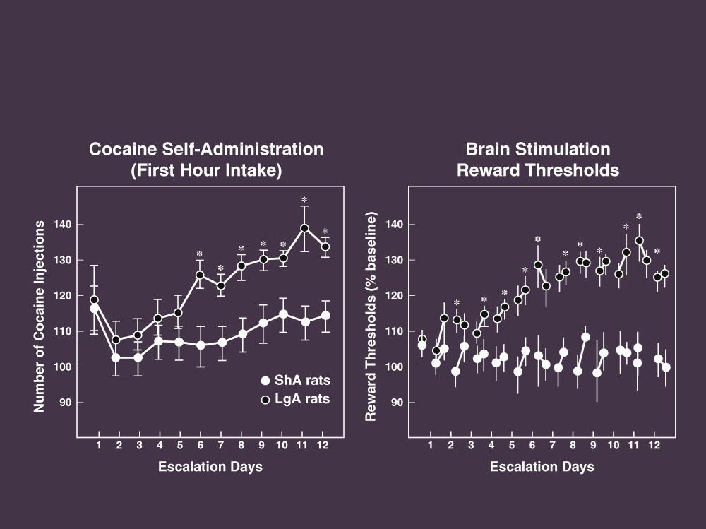 Change in Brain Stimulation Reward Thresholds in Long-Access (Escalation) vs.