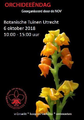 De moeite waard: 1 september is er een liefhebbersmarkt in de Botanische Tuin (zie web-site) De markt wordt gehouden op het grasveld aan de Budapestlaan, bij de hoofdingang; De markttijd : van 10u