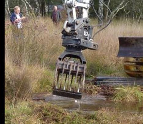 meer dan 1000 exemplaren) voorkwam. Op het grootste deel van de oppervlakte kwam de soort frequent, locally abundant of abundant voor (zie kaarten in bijlage II).