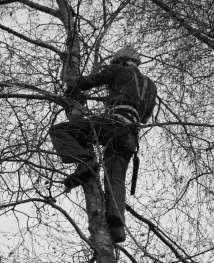 Snoeien en vellen van bomen in moeilijke omstandigheden Algemene Tuinaanleg en Onderhoud + Afsluitingen Tuinbestratingen Ne gelukkige... verjaardag!!!! Joris Wuytack Dennenlaan 21 A 9170 Sint-Pauwels G.