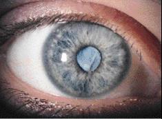 Stralingsrisico personeel Straling kan cataract veroorzaken, eerder