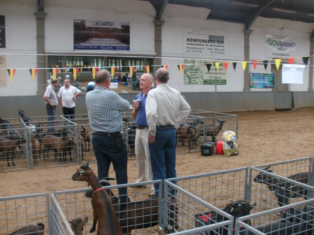 Te koop: Bij Filip Bauwens in Deinze: -hooiruiven en voederbakjes voor geiten -stalinrichting voor 12 boxen -bandjes voor geiten met riempjes -1 scheermachine voor schapen met 5 scheerkoppen -2