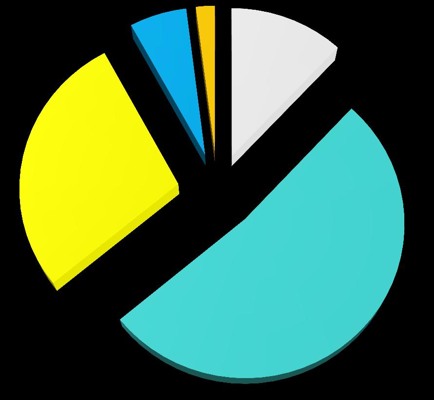 Financiële positie verenigingen 36 % moeilijk 28% 2% Zeer 6% 12%