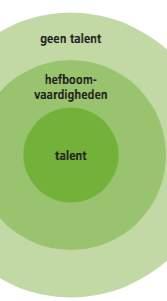 Innerspective BV 06 DE CONTEXT IS BELANGRIJK OM TALENT TE ONTWIKKELEN De omgeving, de context waarin iemand zich bevindt, is bepalend of talenten gebruikt kunnen worden en zich kunnen ontplooien.