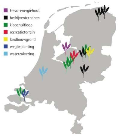 Kansen in NL Geen grootschalige teelt op landbouwgrond Kan economisch niet concurreren Verdringing productie