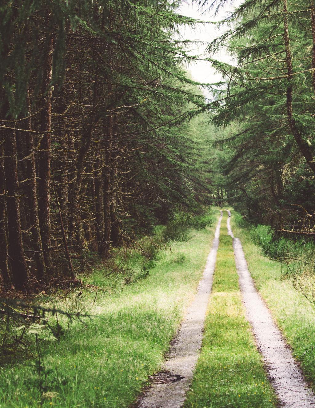 FABELS ONTKRACHT 22 Teken komen alleen in bossen voor. Teken kunnen in al het groen voorkomen, dus niet alleen in bossen, maar ook in o.a. duingebieden, stadsparken, privétuinen, gemeentegroen en grasbermen.