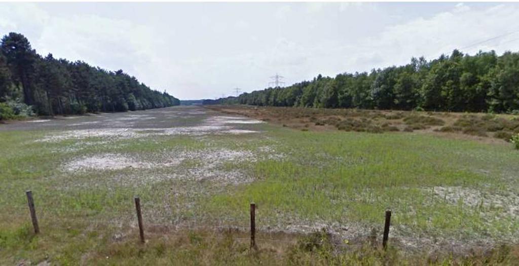 1 Versterken bestaande natuurgebieden Op plaatsen waar percelen van de buisleidingenstraat grenzen aan percelen die in beheer zijn bij natuurbeherende organisaties is het mogelijk om in samenwerking