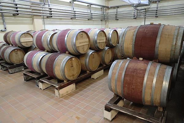 Maar pas na 10 jaar flesrijping zal blijken of deze modern gemaakte wijn lang kan worden bewaard.
