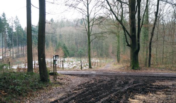 We maken ons gereed voor een heerlijke dagtocht en lopen dan eerst de parkeerplaats over parallel langs de hoofdweg in de richting Melle, tot aan het einde waar we de hoofdweg kunnen oversteken.