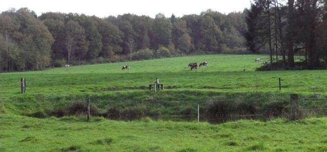 Het betreft een aantal verspreid liggende percelen die omgevormd zullen worden van landbouw naar natuur.