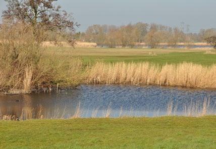 Uiterwaarden Zwarte Water en Vecht Peildatum 01.01.2018 Verkenning Planuitwerking Realisatie Beheer provincie Overijssel Oppervlakte: Natura 2000: 1.