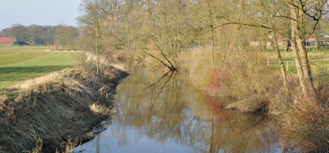 Het gebied is van regionale betekenis als broedgebied voor weidevogels (hier broedt de grootste populatie grutto s van Twente) en als overwinteringsgebied voor veel watervogels.