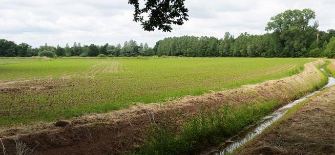 Het laagstgelegen centrale deel van het gebied (Demmersblok) is rijk aan kalkrijke kwel. Hier stroomt de Hagmolenbeek.