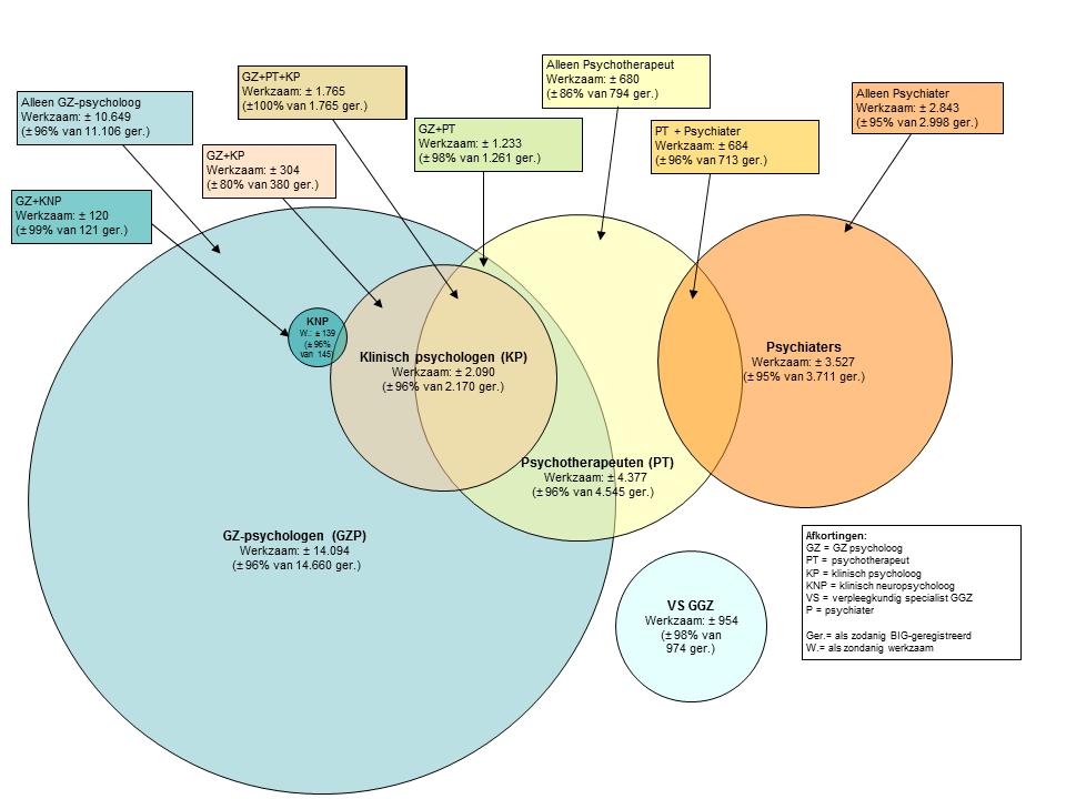 psychotherapeut, klinisch psycholoog en klinisch erkend is de werkzaamheid binnen de registratie 96%. Voor de psychiaters is dat 95% en voor de verpleegkundig specialisten GGZ 98%.