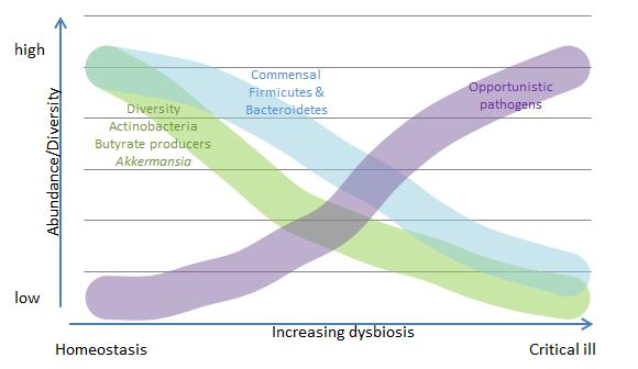 Het microbioom tijdens sepsis: verlies van diversiteit en overgroei van