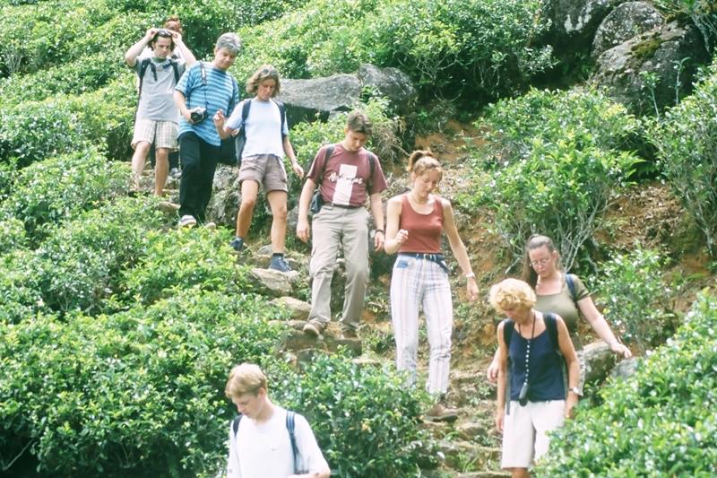 Ook haar golfbaan en kunstmatig meer met roeibootjes doen je niet direct beseffen dat je in Sri Lanka bent. Nuwara Eliya is erg geliefd vanwege haar verkoelende temperaturen.