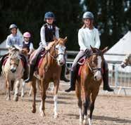Paardrijden en verzorging voor beginners Paardrijden en verzorging (1ste graad)