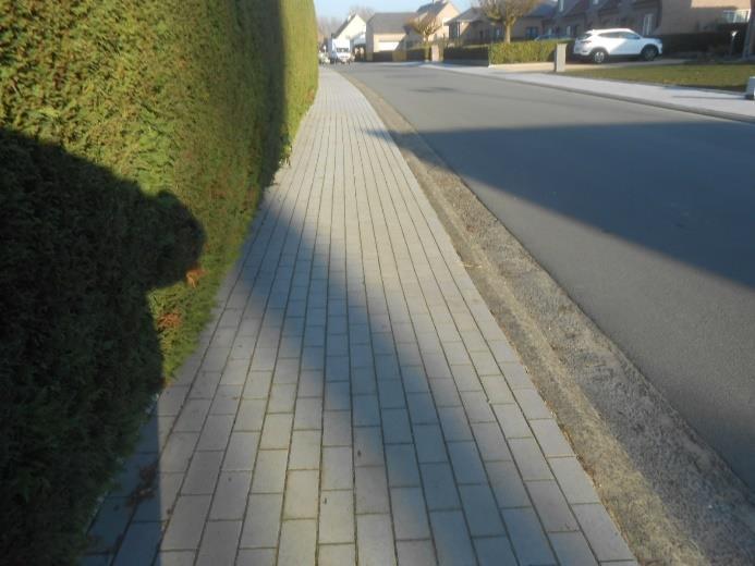Dienst Openbare Werken Aanleg voetpaden verschillende buurtwegen Voetpaden werden vernieuwd in volgende straten: Kapellestraat 121.201 F. Uylenbroeckstraat 87.