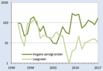 Landelijke trend: Habitat: Natte tot vochtige, schrale graslanden en bloemrijke hooi- of rietlanden. Waardplanten: Vooral moerasviooltje; in duinen ook duin- en hondsviooltje.