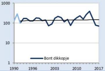 Het voorkomen sluit aan op de verspreiding in het aangrenzende Duitsland. Tijdens de WCL-kartering 1995-1999 werden er 147 exemplaren geteld.