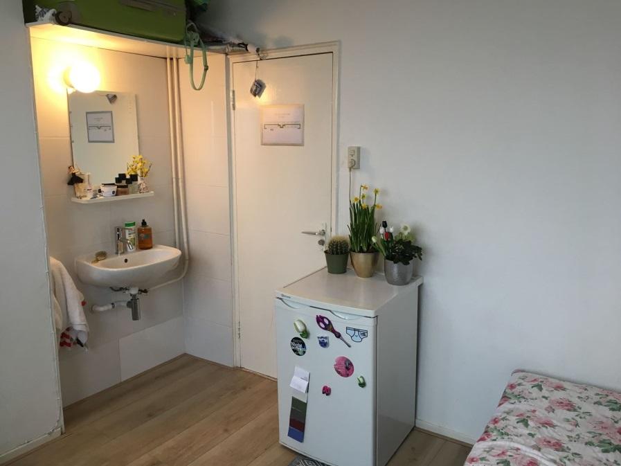 500 Te koop in Amsterdam Korte Geuzenstraat 700 708 - kamer aan rand van