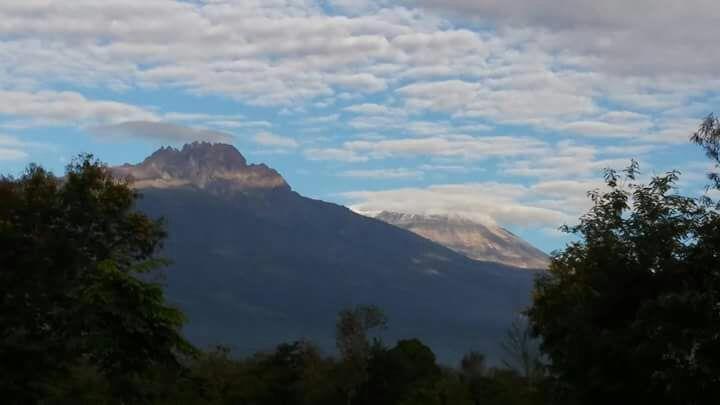 Uitzicht op de Kilimanjaro