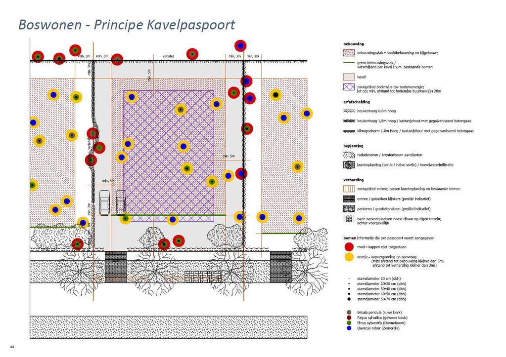 KAVELPASPOORT (IN VOORBEREIDING) Per kavel uitgangspunten en aanbevelingen over: Inpassing bomen Te handhaven bomen Laten staan tenzij Aanbeveling te realiseren groen/bossfeer Inzet beplanting