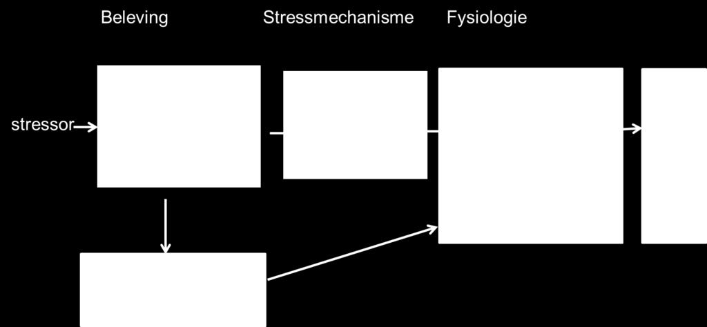 Chronische stress draagt