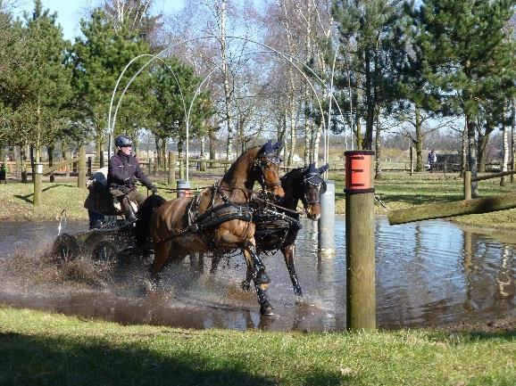 De Voorbereidingen Zonder de inzet van de vele vrijwilligers (leden) zou deze wedstrijd onmogelijk zijn.