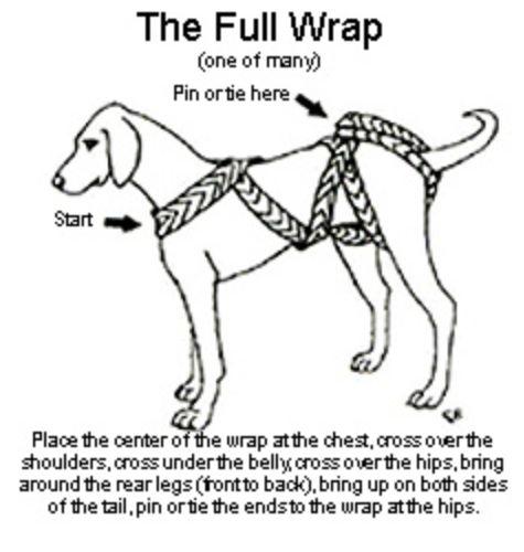 BodyBandage De bandage is een elastisch rekverband. Die knoop je om het lichaam van de hond heen. Dit hoeft niet strak!! Op de afbeelding hieronder kun je zien hoe je de hele en halve bandage omknoopt.