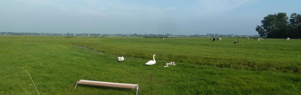 Naast de verkeerstechnische en financiële aspecten speelt mee dat voor deze afslag 17 hectare uniek weidevogelgebied en Oer IJ gebied in het Heilooër Die moet worden opgeofferd.