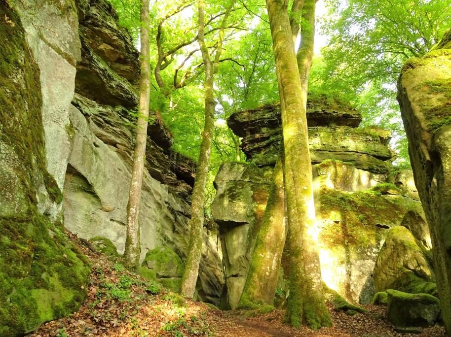 Dag 1 We rijden via Hasselt, Luik, Verviers, Sankt-Vith, Weiswampach, Clervaux en Diekirch naar het Müllerthal, een gebied in het oosten van Luxemburg tegen de Duitse grens aan.