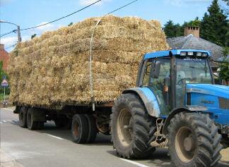 Terwijl ze wachtten op het hout dat in de lente per trein zou toekomen, bouwden ze tijdelijke huizen uit wat voor hen een afvalproduct was: de tot balen samengeperste strostengels van de graanteelt.