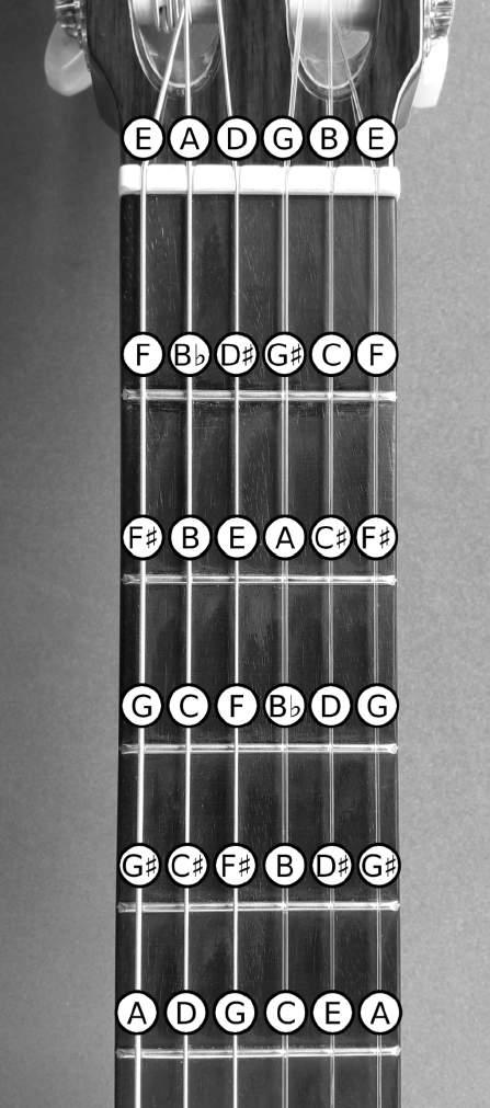 Tonen op de hals Op deze pagina vind je een overzicht van alle tonen op je gitaar tot de 5 e fret.