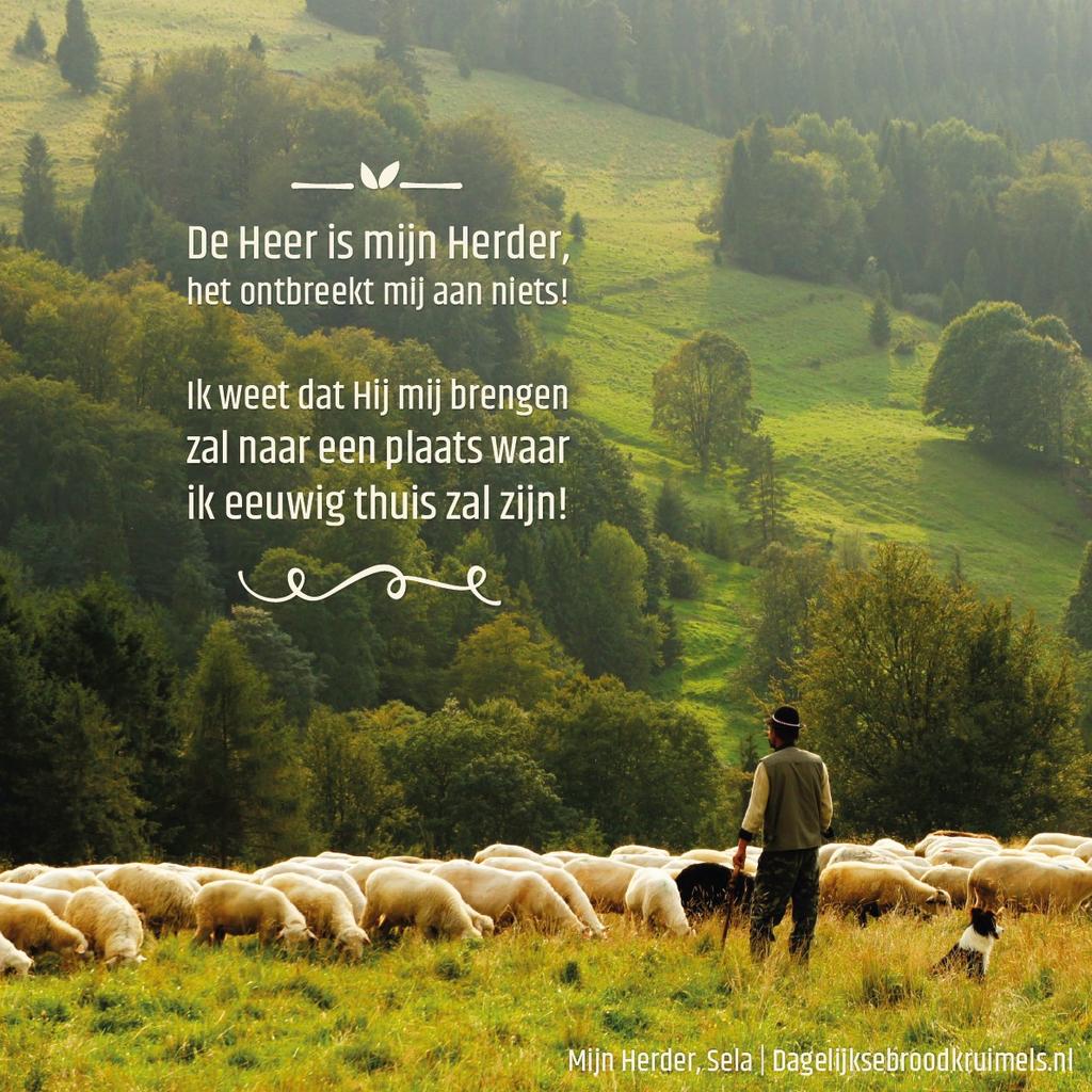 Lied van de maand Psalm 23 (Psalmen van nu) De HEER is mijn herder, en ik zal zijn schaap zijn Tevreden en veilig, want hij zorgt voor alles; Hij weet waar het gras groeit, en hij laat me slapen Aan
