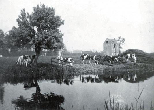 Met de bouw van het kasteel wilde de bisschop aan de ene kant de leenmannen van Holland (de Heren van Aemstel) in bedwang houden, aan de andere kant wilde hij voorkomen dat er een tol zou worden